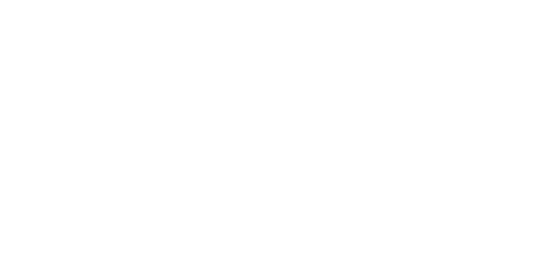 logos-icons-eurodomotica